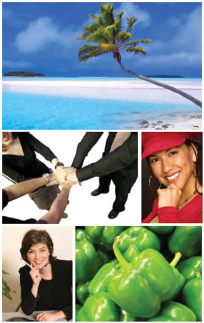 Sample Image (BigStockPhoto.com)