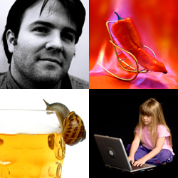 Sample Image (AreaImage.com)