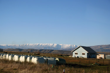 Sample Image (AreaImage.com)